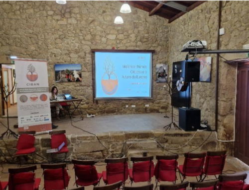 CIRAN WP5 Successfully concludes community engagement and co-creation activities